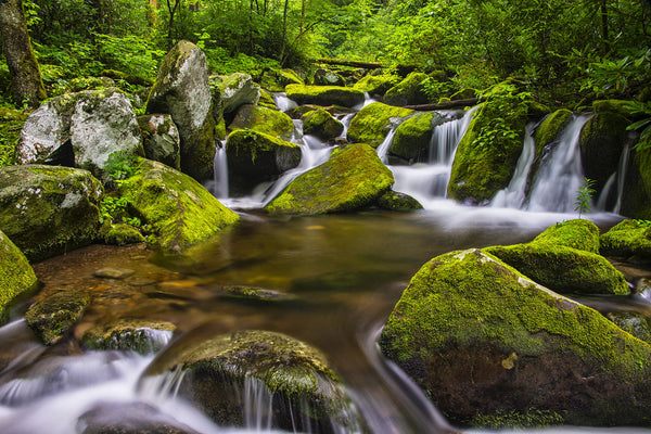 Ken Jenkins Photography - Gatlinburg, Tn - Great Smoky Mountains - Ken 